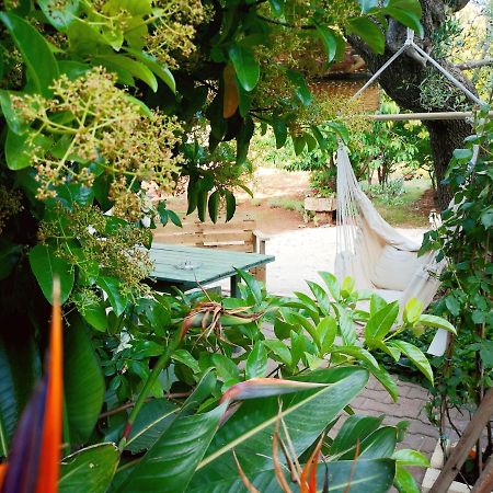 La casa nel villaggio Montalbano  Esterno foto